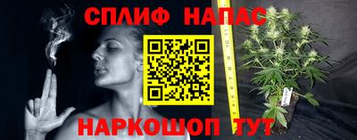 дживик Коммунар